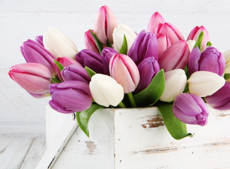 Ilustracja do informacji: Dziś Dzień Pracownika Socjalnego