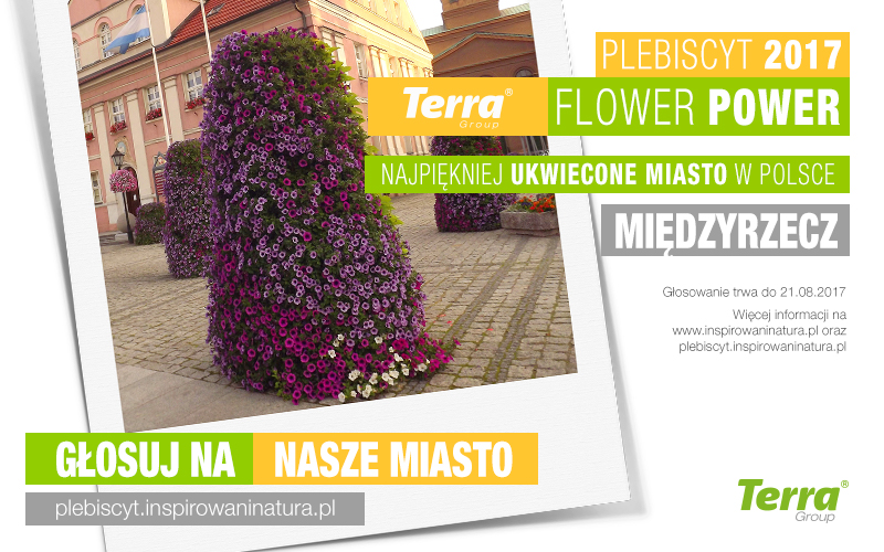 Ilustracja do informacji: Zagłosuj na Międzyrzecz w plebiscycie Terra Flower Power