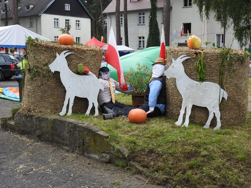 Ilustracja do informacji: Gminne Święto Plonów w Kęszycy Leśnej