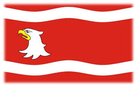 Ilustracja do informacji: Zaproszenie na szkolenie