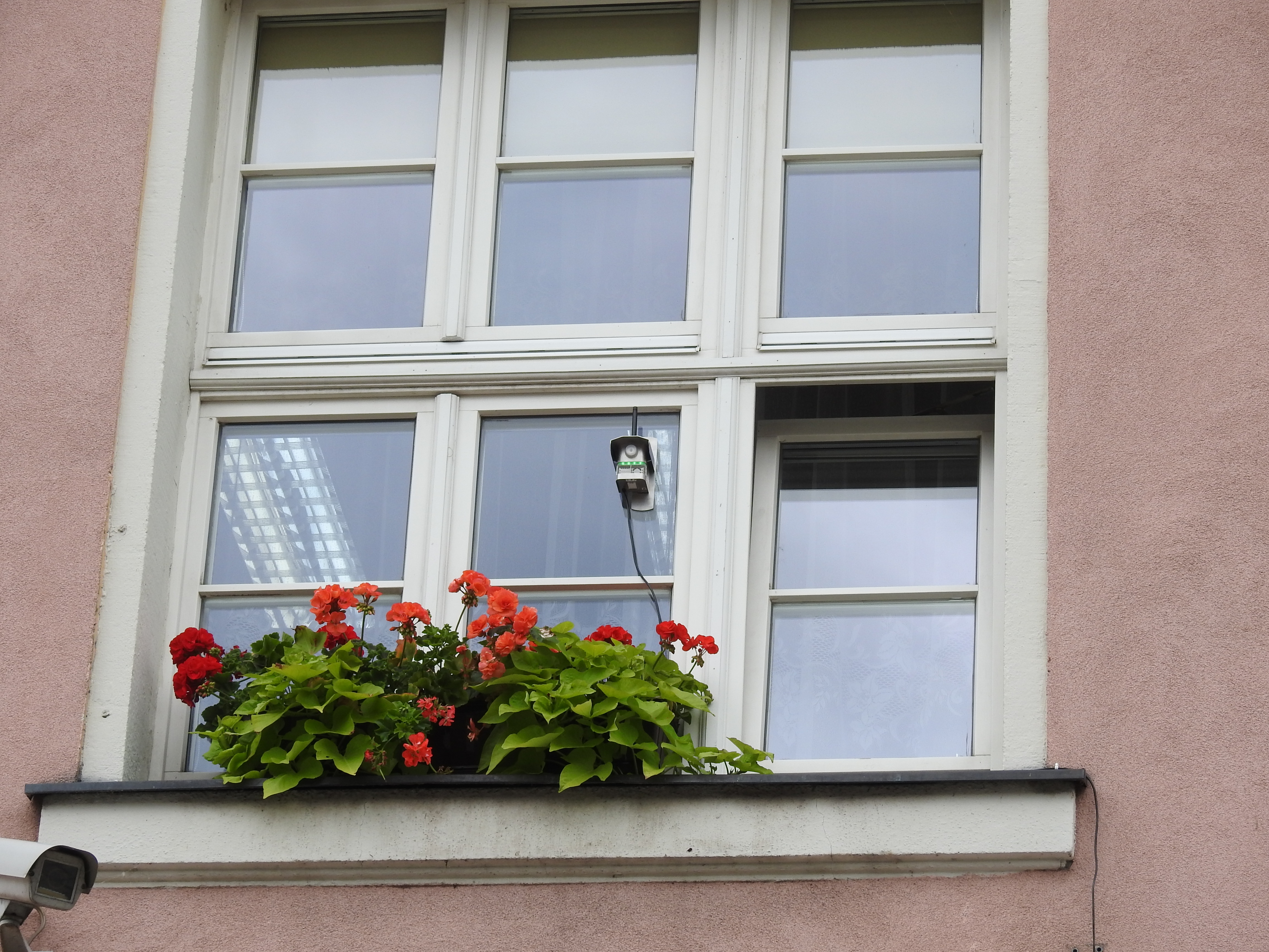 Ilustracja do informacji: Sam możesz sprawdzić jakość powietrza w Międzyrzeczu