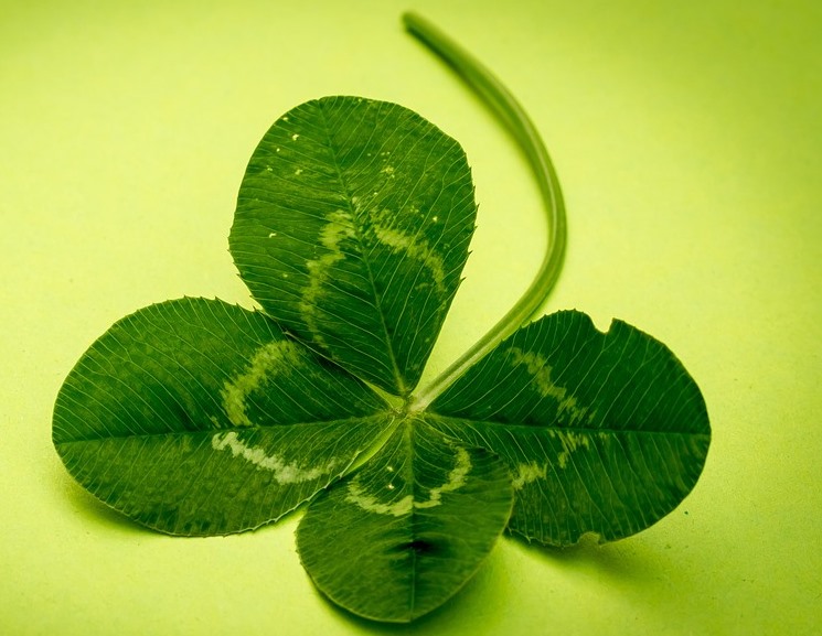 Ilustracja do informacji: Życzenia dla gimnazjalistów