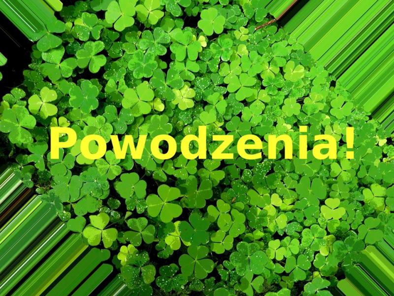 Ilustracja do informacji: Życzenia dla ósmoklasistów!