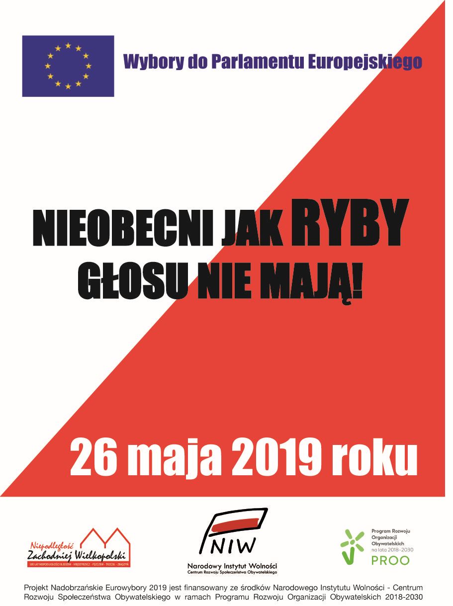 Wybory Europejskie
