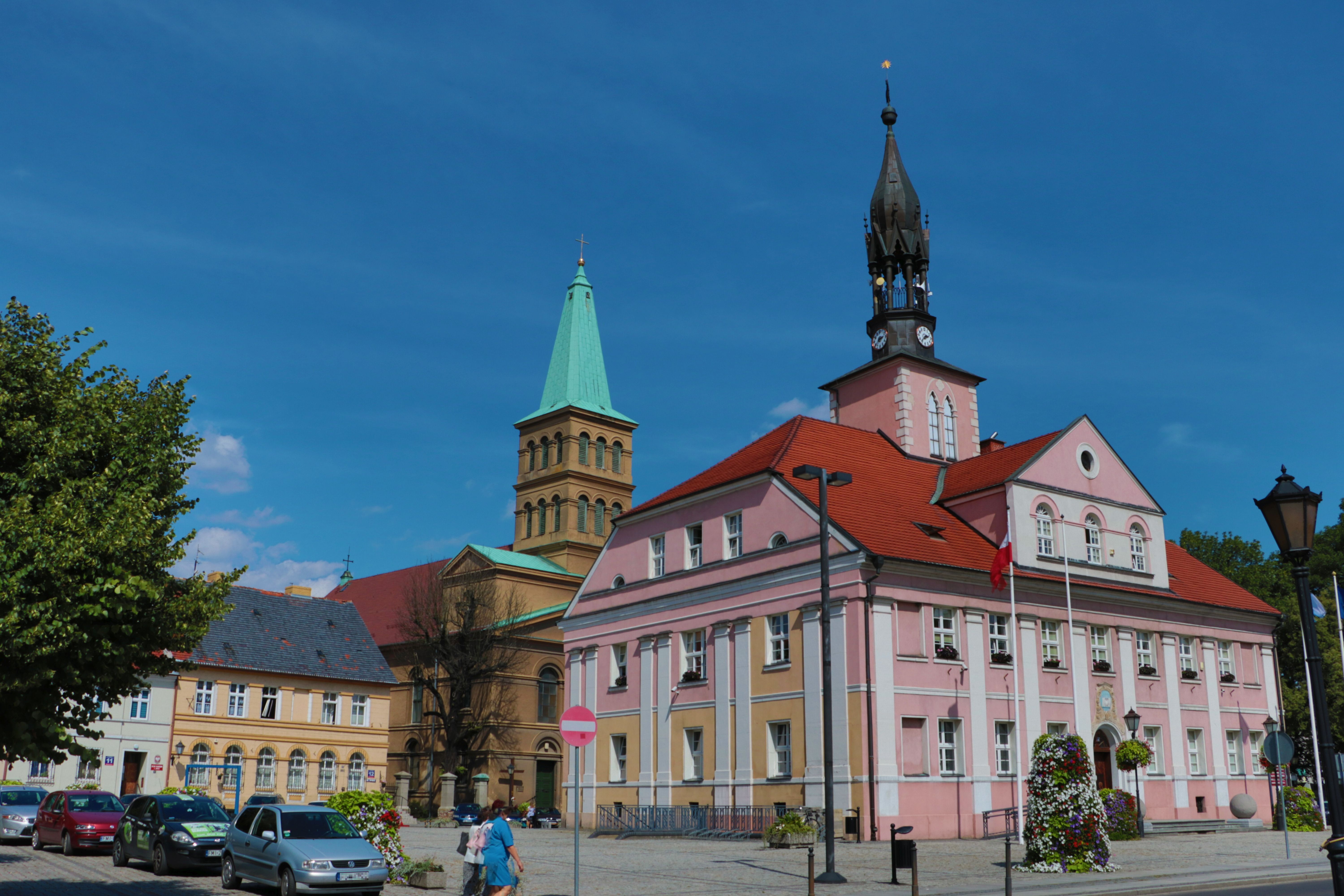 Ilustracja do informacji: Szukamy właściciela psa, potrąconego przez samochód koło Bobowicka