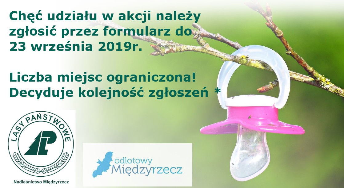 Ilustracja do informacji: Jedno dziecko – jedno drzewo: Wspólna akcja Nadleśnictwa i Urzędu 