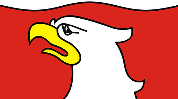 Ilustracja do informacji: Uwaga: Kary finansowe za brak zgłoszeń zmian związanych z rejestracją pojazdów