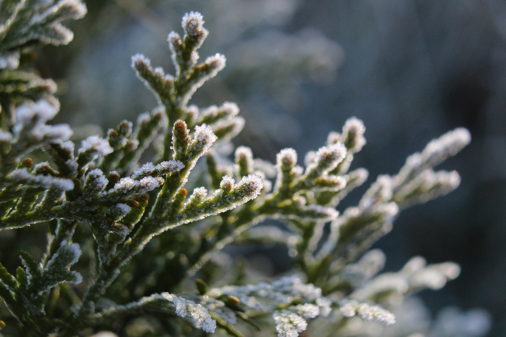 Ilustracja do informacji: Komunikat meteorologiczny 