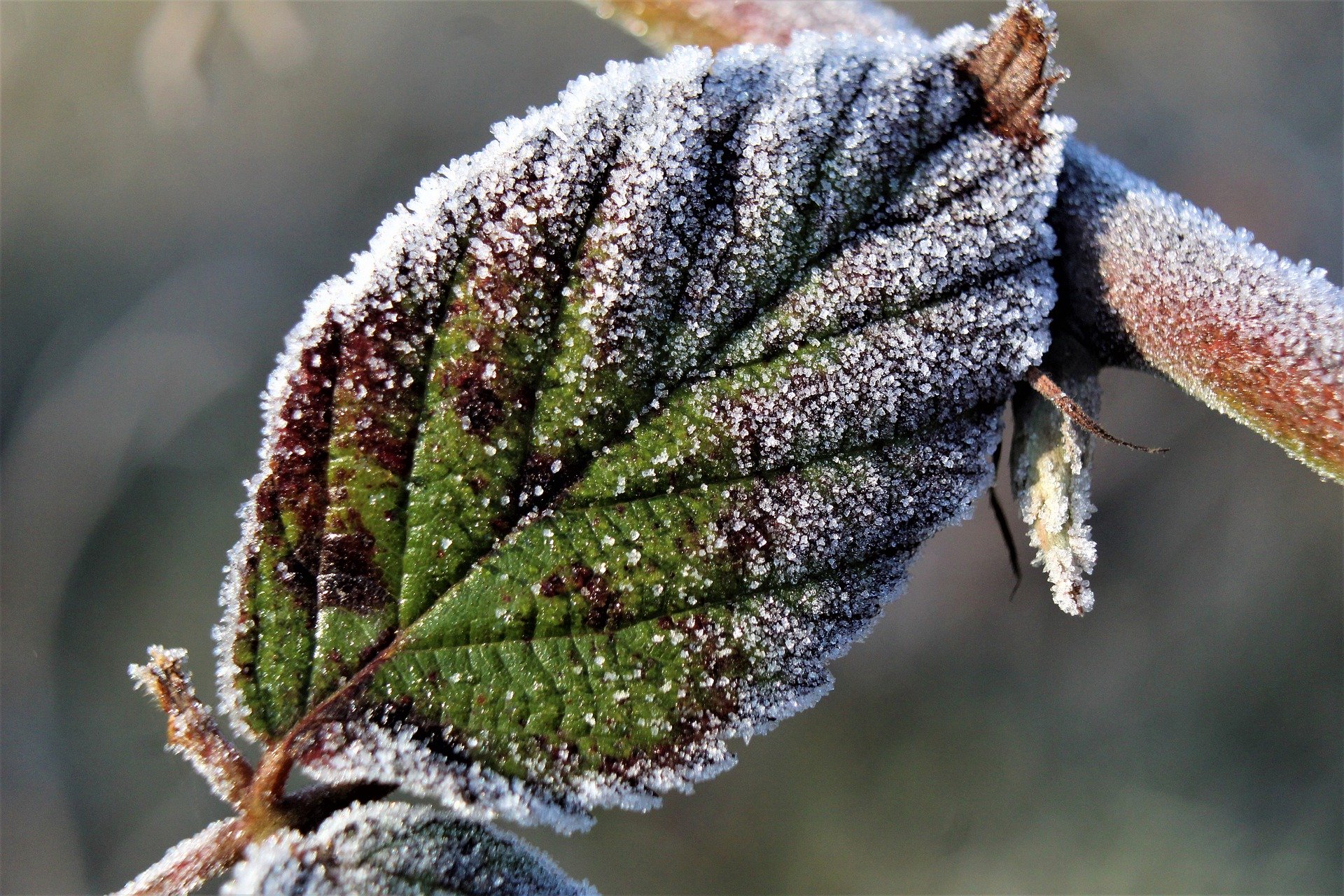 Ilustracja do informacji: Komunikat meteorologiczny