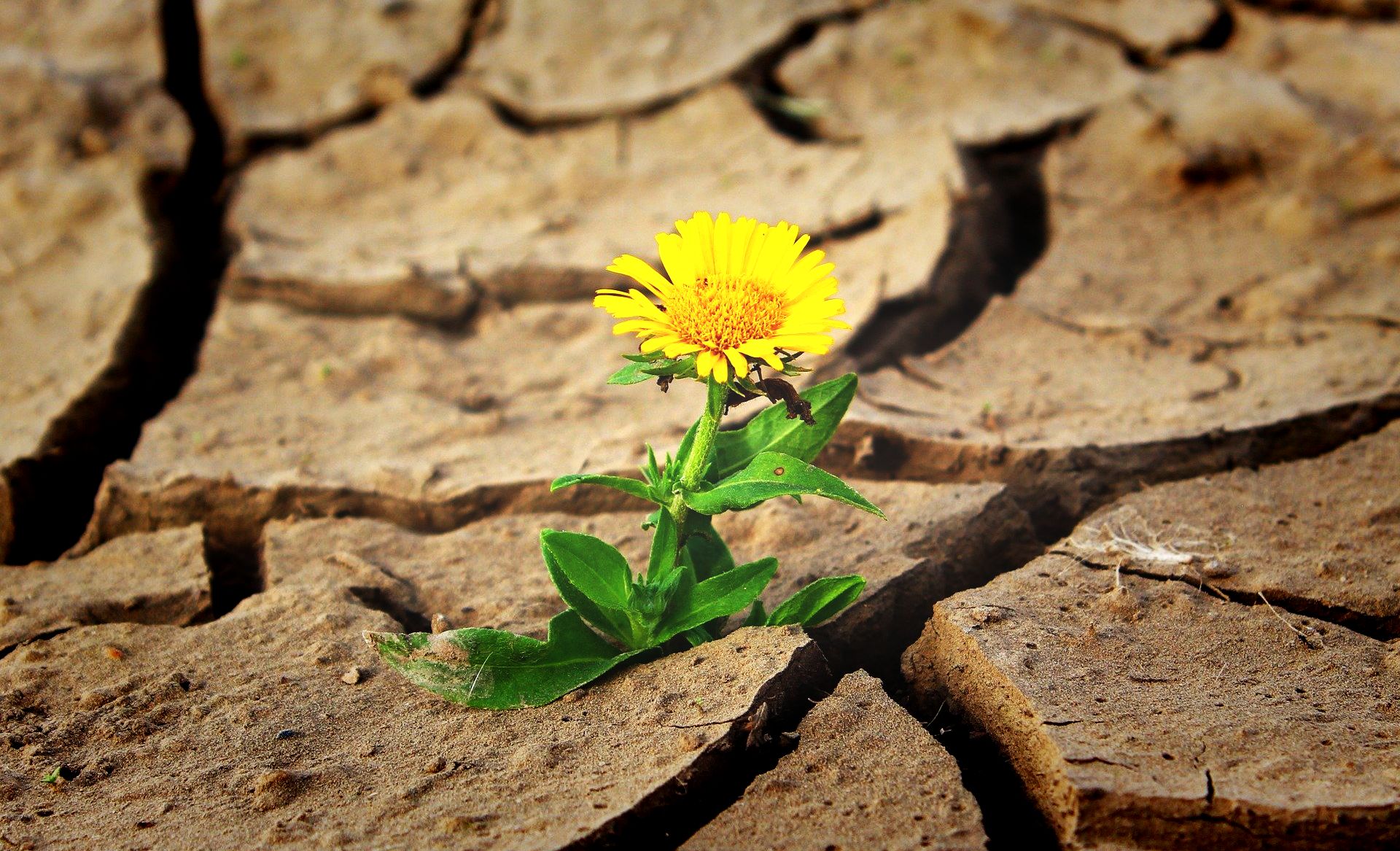 Ilustracja do informacji: Uwaga: Ważna informacja dla rolników 