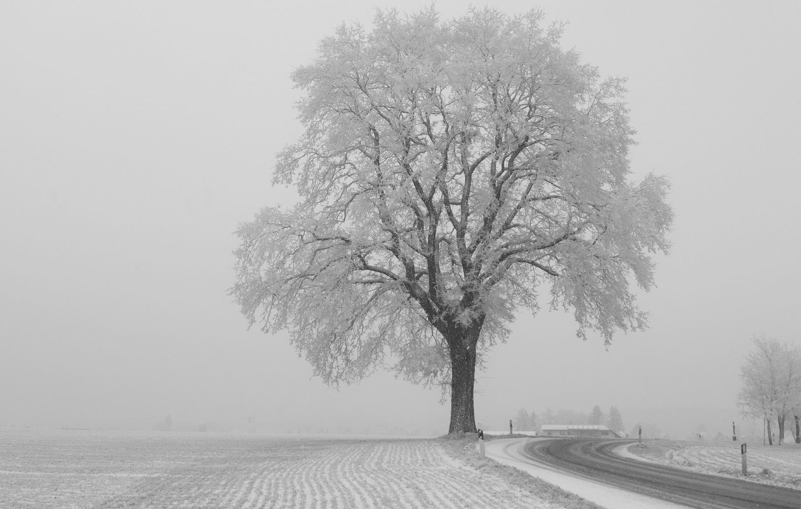 Ilustracja do informacji: Ostrzeżenie meteorologiczne