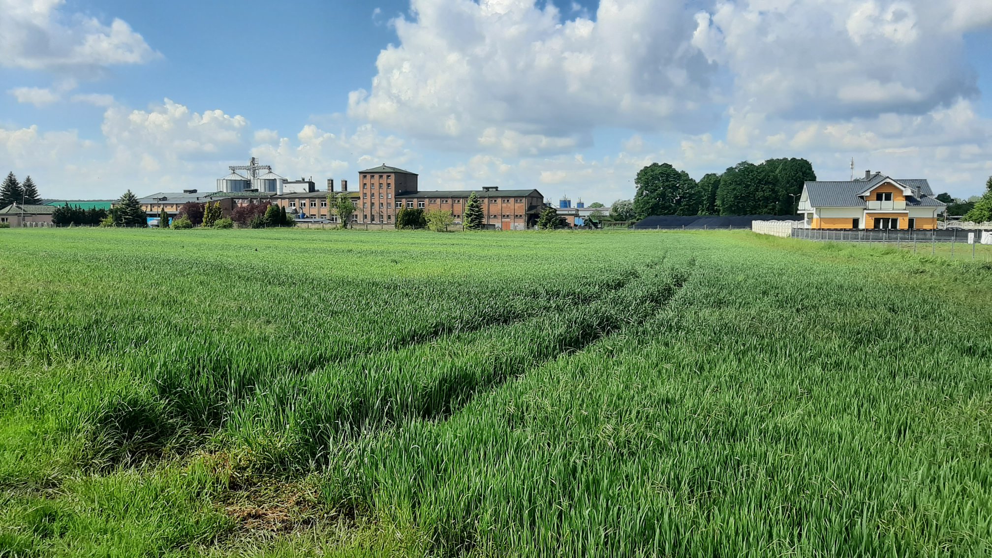 Ilustracja do informacji:  Gmina zamierza wybudować kilka budynków wielorodzinnych 