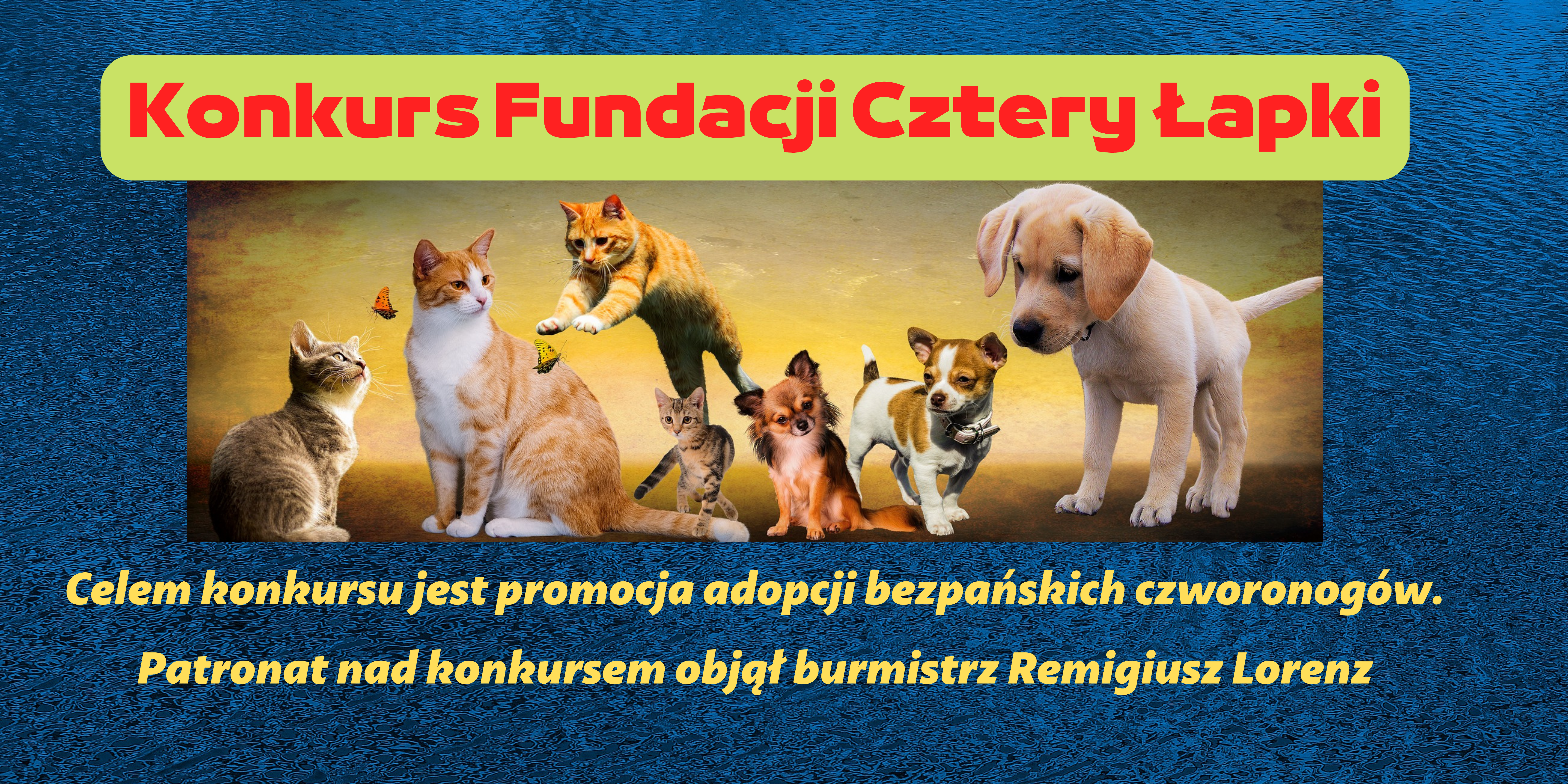 Ilustracja do informacji: Konkurs promujący adopcję bezpańskich zwierząt