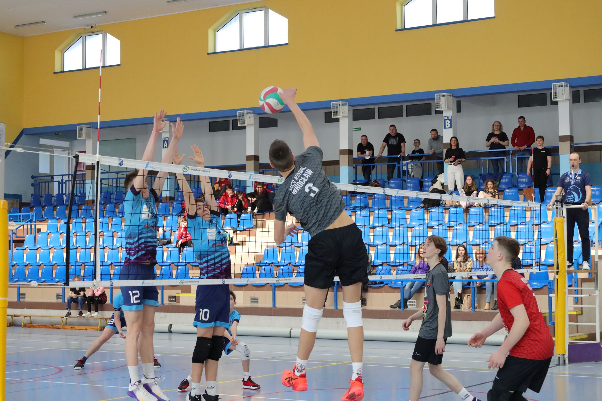 Ilustracja do informacji: Siatkarze z Międzyrzecza pokazali pazur