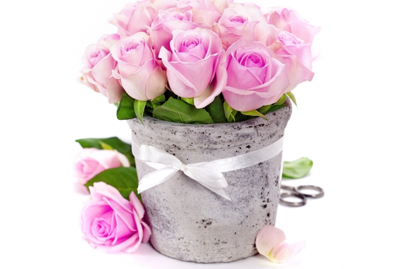 Ilustracja do informacji: Życzenia z okazji Dnia Kobiet