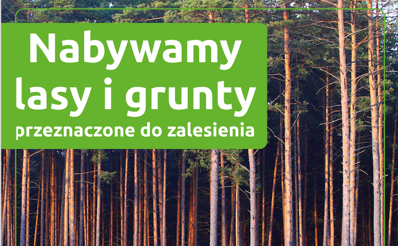 Ilustracja do informacji: Komunikat Nadleśnictwa Międzyrzecz 