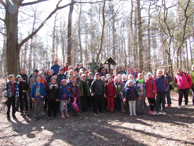 Ilustracja do informacji: Szlakiem Czterech Wież po Bad Freienwalde 