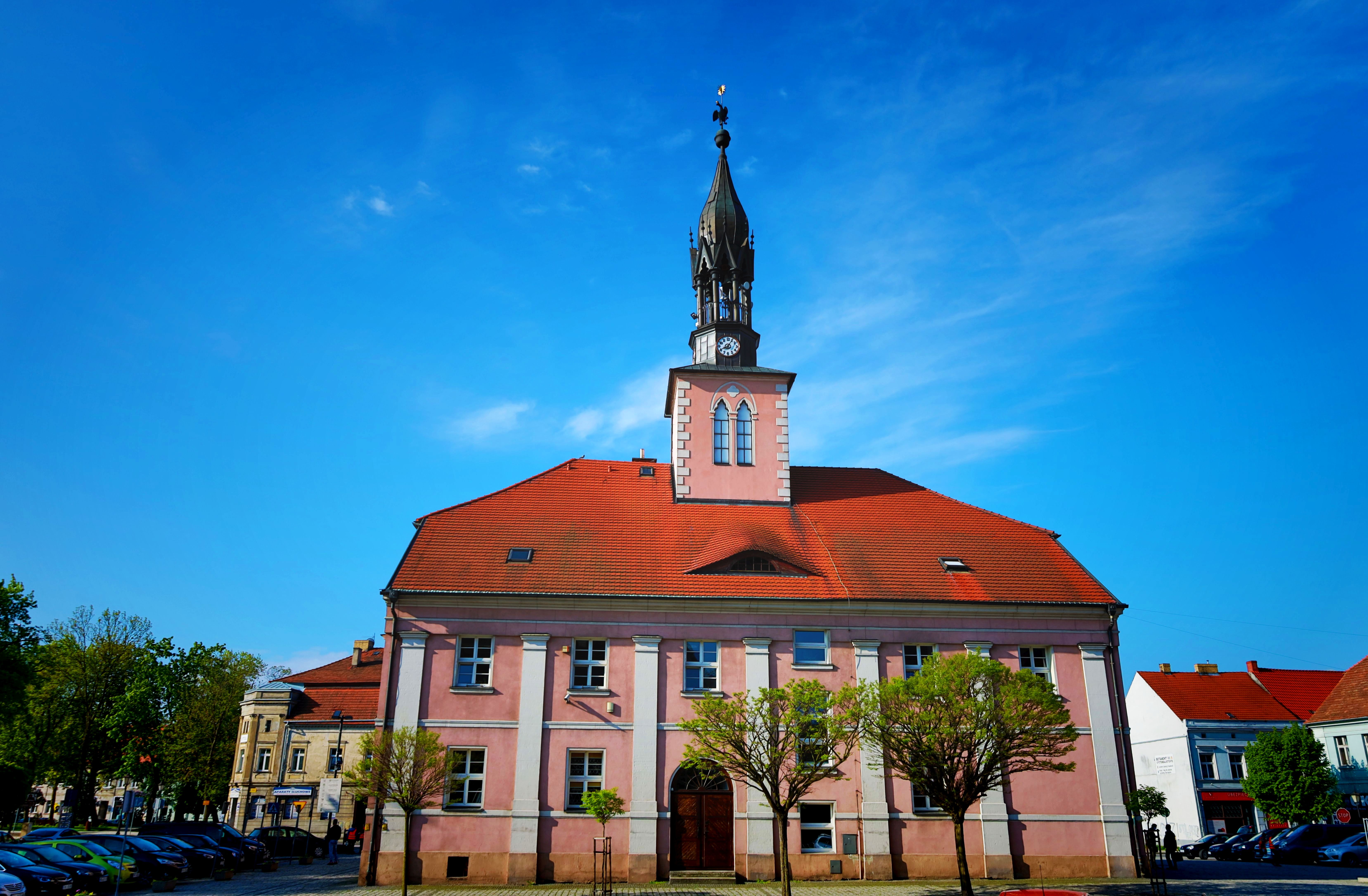 Ilustracja do informacji: Informacja o ofercie organizacji pozarządowej 