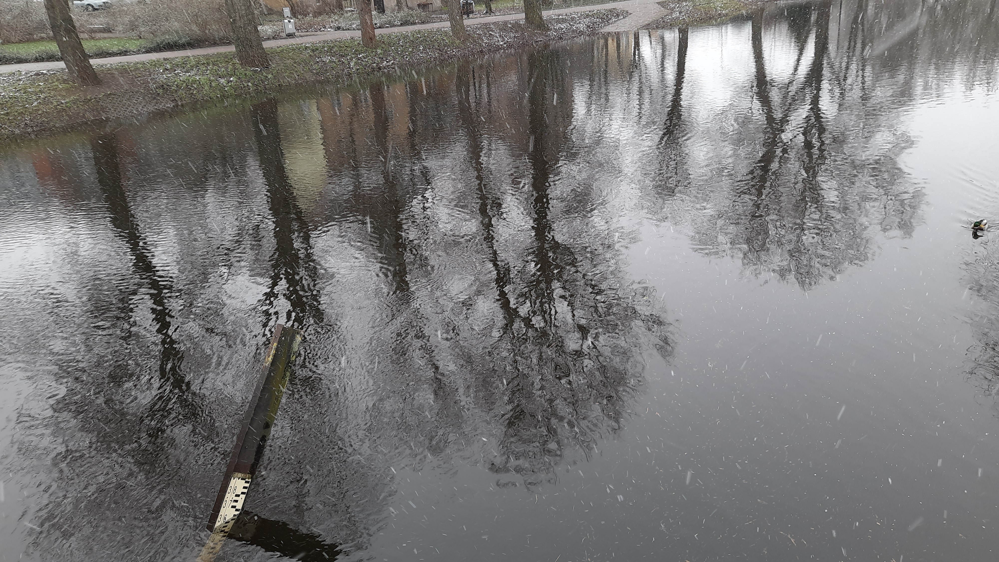 Ilustracja do informacji: Zarządzenie burmistrza Międzyrzecza w sprawie ogłoszenia alarmu przeciwpowodziowego