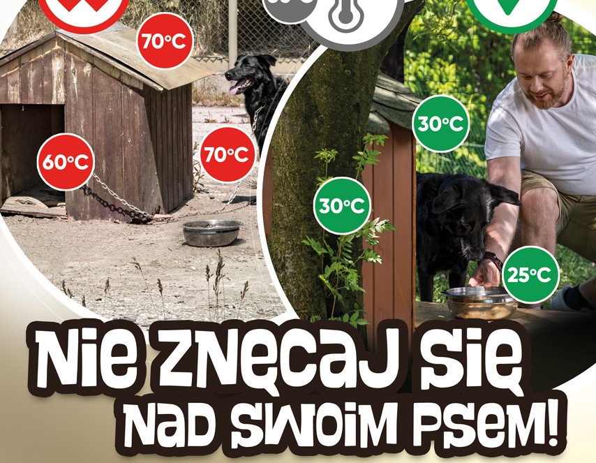 Ilustracja do informacji: Zbliża się kolejna fala upałów, uwaga na zwierzęta! 