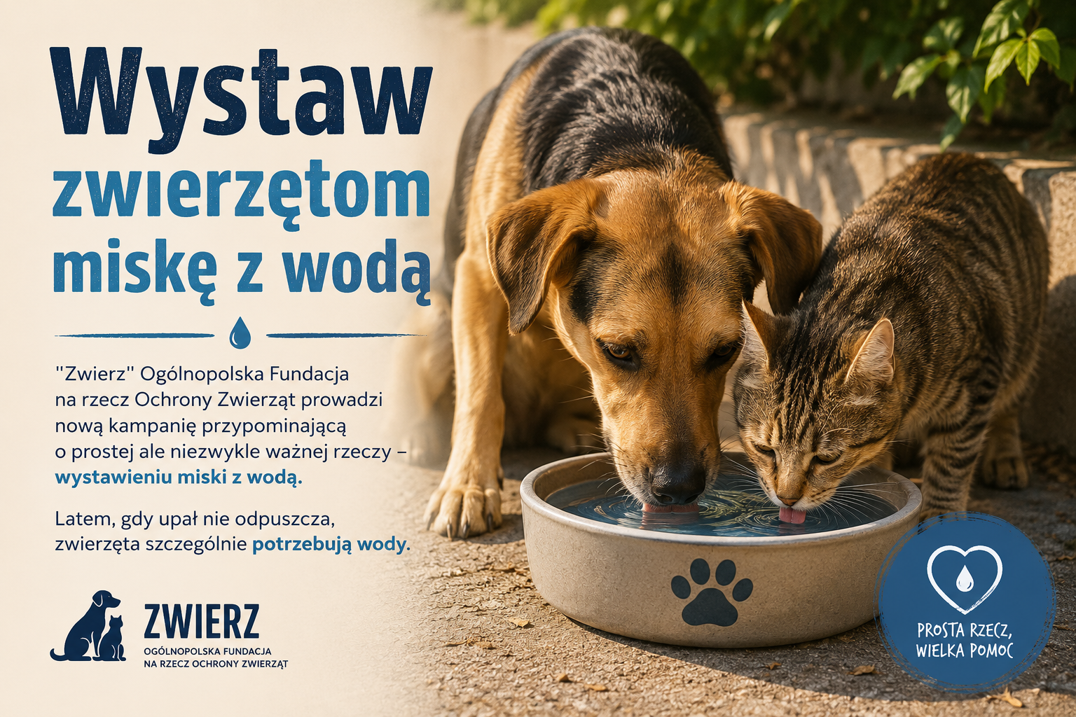 Ilustracja do informacji: Wystaw zwierzakom miskę z wodę 