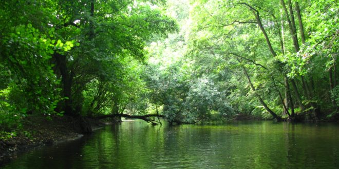 Ilustracja do informacji: Konkurs rzeka roku 2016 – prosimy o głosy