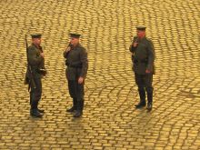 Miniatura zdjęcia: Fotka 80