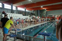 Miniatura zdjęcia: Fotka 2