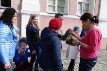 Miniatura zdjęcia: Fotka 7