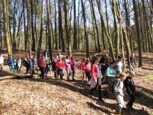 Miniatura zdjęcia: Szlakiem Czterech Wież po Bad Freienwalde