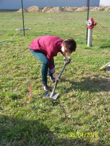 Miniatura zdjęcia: Fotka 3