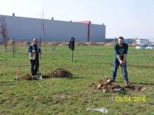 Miniatura zdjęcia: Fotka 4