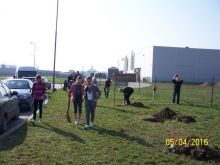 Miniatura zdjęcia: Fotka 5