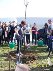 Miniatura zdjęcia: Fotka 11