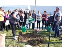 Miniatura zdjęcia: Fotka 12