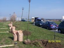 Miniatura zdjęcia: Fotka 13