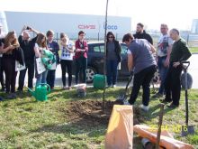 Miniatura zdjęcia: Fotka 14