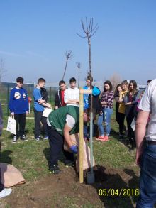 Miniatura zdjęcia: Fotka 18