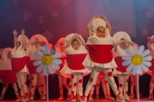 Miniatura zdjęcia: WIOSNA ACH TO TY....