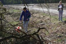 Miniatura zdjęcia: Projekt edukacyjny ,,Moja przygoda z kompasem w lesie”