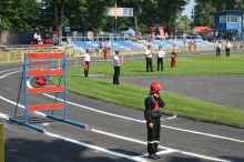 Miniatura zdjęcia: Fotka 8