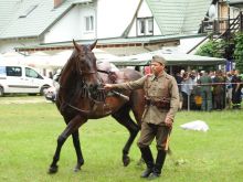 Miniatura zdjęcia: Fotka 118