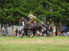 Miniatura zdjęcia: Fotka 127