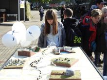 Miniatura zdjęcia: Fotka 10