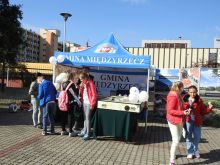 Miniatura zdjęcia: Fotka 22