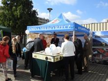 Miniatura zdjęcia: Fotka 28