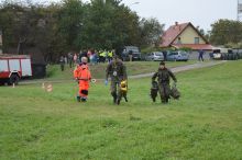 Miniatura zdjęcia: Fotka 42