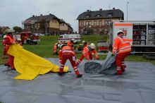 Miniatura zdjęcia: Fotka 47