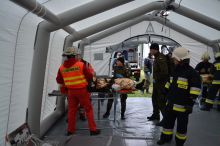 Miniatura zdjęcia: Fotka 61