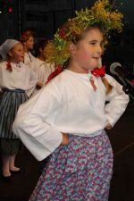 Miniatura zdjęcia: XVII Lubuskie Święto Plonów Międzyrzecz 2015 50